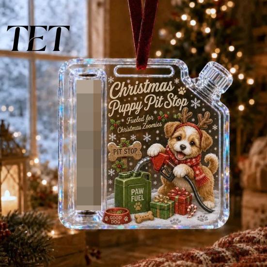 Translucent Acrylic Gift Case Christmas Cash Ornament, Money Holder for Cash, Tree Hanging Decoration Funny Xmas Decoration, Gifts Holiday Party