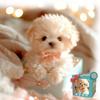Electric Pet Realistic Fluffy Puppy Interactive Toy Dog Walking Barking Tail Wagging Like A Real Dog for Kids Adults Gift