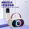 Портативная Bluetooth-колонка KTV Newmine KS11 с микрофоном, штекер CN (адаптер в комплекте)