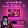 USB LED Light Strip RGB COB Bluetooth APP Control FCOB Flexible RA90 Cob LED Strip Luces Led Lighting Music Sync for Party PC