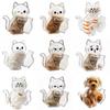 DIY Pet Hair Keepsake Box Transparent Pet Memorial Container  Pet Souvenirs