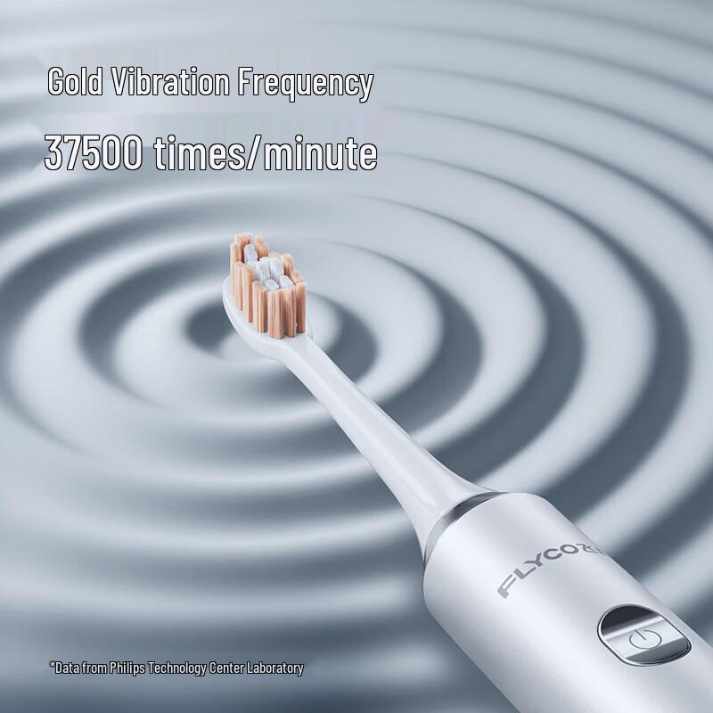 FLYCO FT7205 Electric Toothbrush