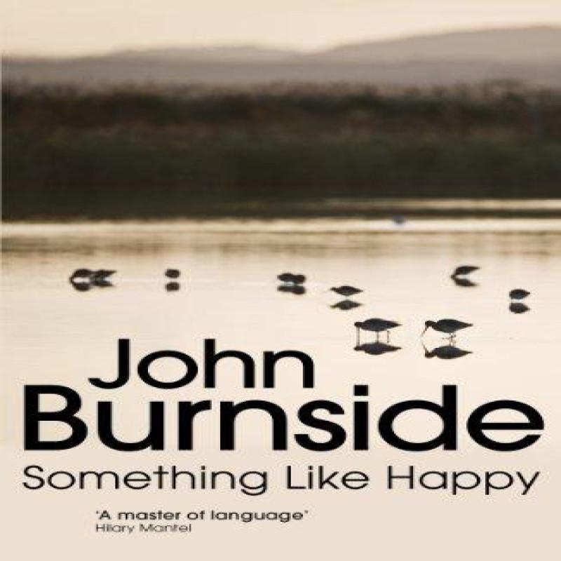 Something Like Happy by John Burnside Paperback Book 9780099575597