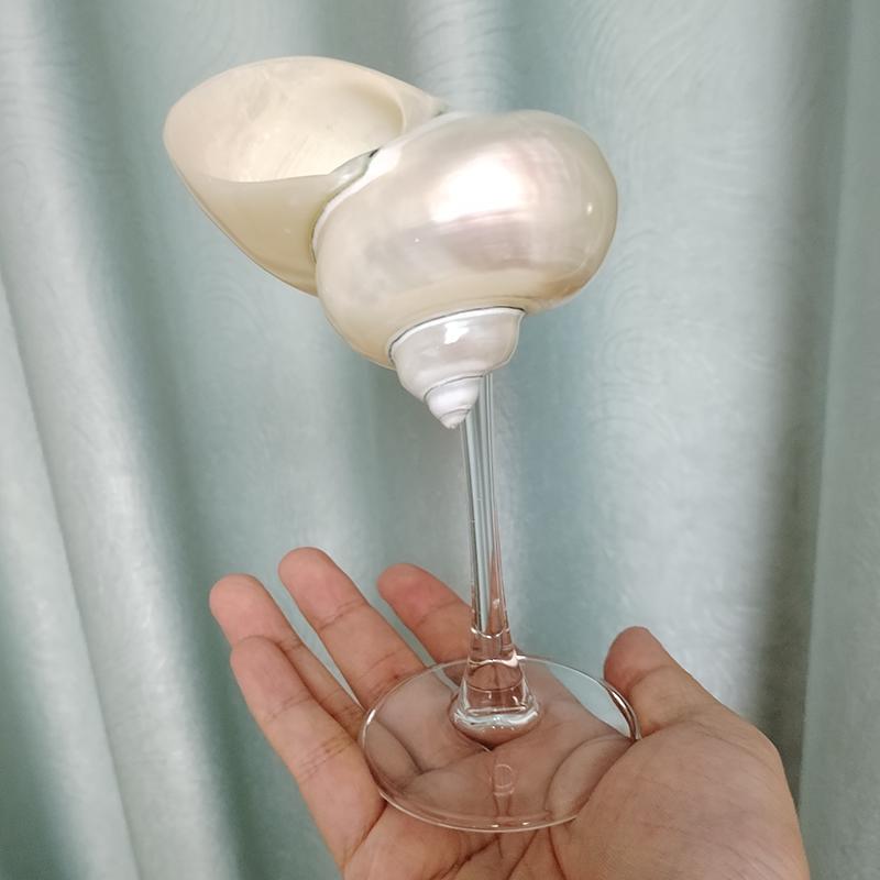 Natural Conch Shell Wine Glass Cup Handmade Wedding Glasses Martini Glasses Goblet Cocktail Drinkware Drinking Stemware Gifts
