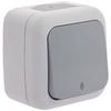 Grey Waterproof Two-way Switch