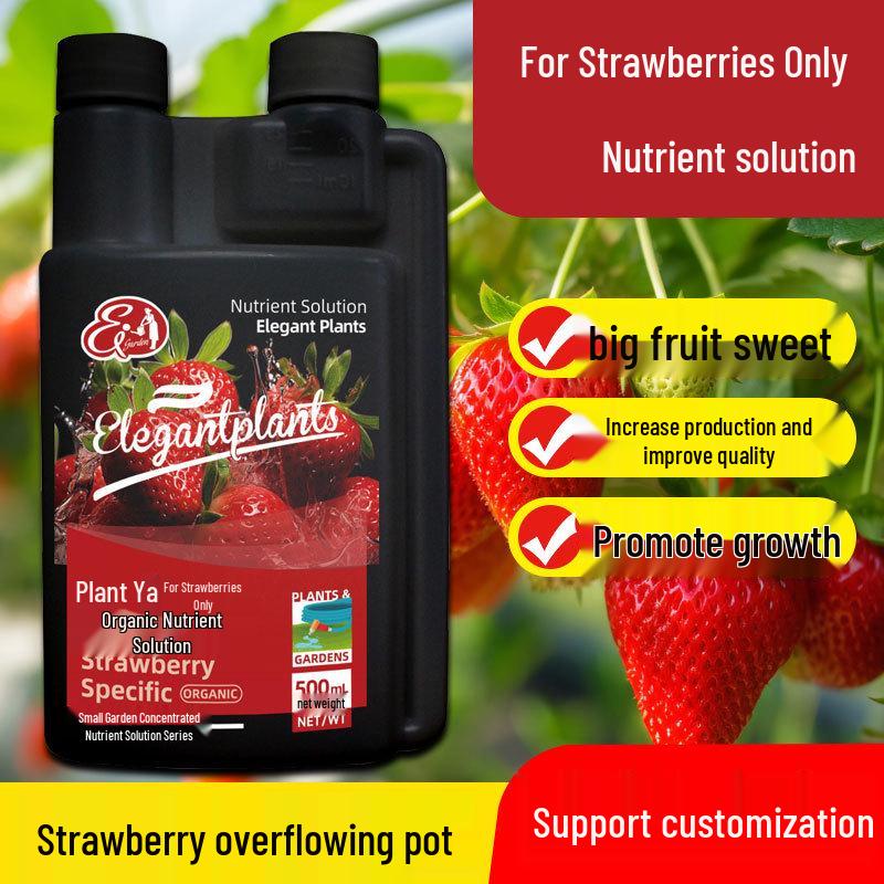 Organic Water-Soluble Strawberry Fertilizer for Potted and Soilless Plants (Slow-Release Concentrated Nutrient)
