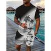 Hawaiian Style 3D Printed Men's T-shirt And Shorts Set Summer Everyday Men's Short Sleeves Outdoor Beach Men's Casual Shorts