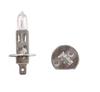 H1 12V 55W P14.5s Car Bulb + 50% More Light - 99ZS005L