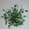 Искусственные Зеленые Растения Ветвь Фикуса Кордата Искусственная Зелень Низкоуходные Реалистичные Шелковые Листья Декор для Дома Сада Мероприятий