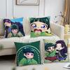 Anime Chibi Cute The A-Apothecary Diaries Maomao Soft Pillow Case for Sofa Living Room Home Office Decor Protective Covers Funda