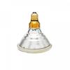 Curalux PAR 38 Bulb