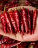Guizhou Zunyi Mildly Spicy Fragrant Erjingtiao Lantern & Extra Spicy Sea Chili Mix