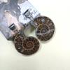 Кулон-ракушка с полированными ракушечными бусинами для стильных украшений
