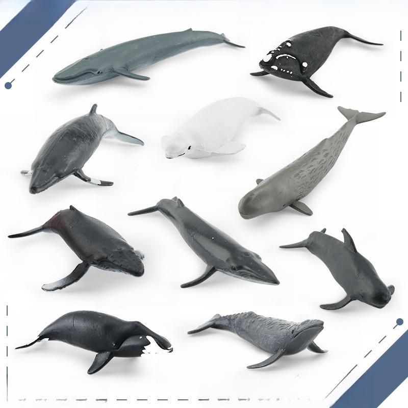 Морское Животное Белуха И Кит Реплика Модель Набор ПВХ Игрушка Для Декора Аквариума
