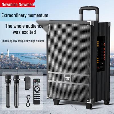 Портативная Bluetooth-колонка Newmine N519 12 дюймов с двумя микрофонами, штекер CN (адаптер в комплекте)