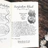 Книга Заклинаний Старой Ведьмы - Незаменимый Инструмент для Начинающих Ведьм и Колдунов, Идеальный Подарок на День Рождения, Пасху, Рождество, Хэллоуин