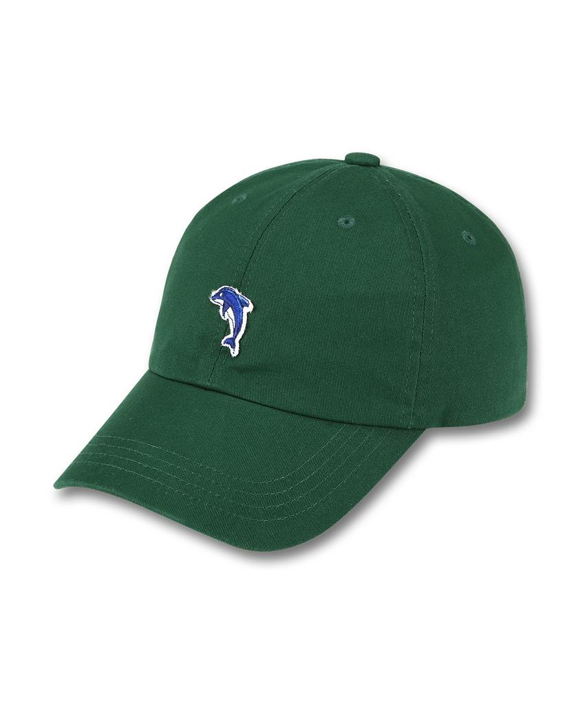 DOLPHIN WAVE APPAREL Кепка-бейсболка с вышивкой Dolphin Mini Глубокий зеленый