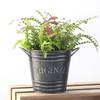 Plants Planter Flowerpots Metal Bonsai Flowerpot Creative Iron Flower Pot