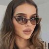 4pcs Pack Fashio Small Oval Sunglasses Women Cat Eye Half Frame Sun Glasses Outdoor Sports  Luxury Brand UV400 Shades Eyewear