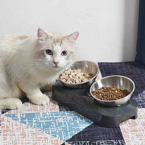 Миски для кошачьей еды с регулируемой высотой, антирвотная нержавеющая сталь для кошек и собак, способствует формированию здоровых привычек питания