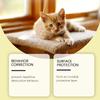 Спрей отпугиватель кошек для дома и улицы Защита мебели Нетоксичная формула Долгосрочное решение для дома