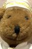 [USED] Hong Kong Peninsula Hotel 75th Anniversary Teddy Bear