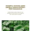 SKIN 1004 - Мини-набор с ампулой Madagascar Centella