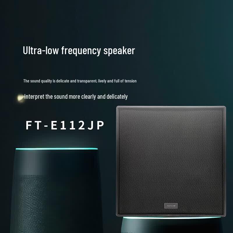 FionTu FT-E112JP High-Power A/V Speaker (CN version)