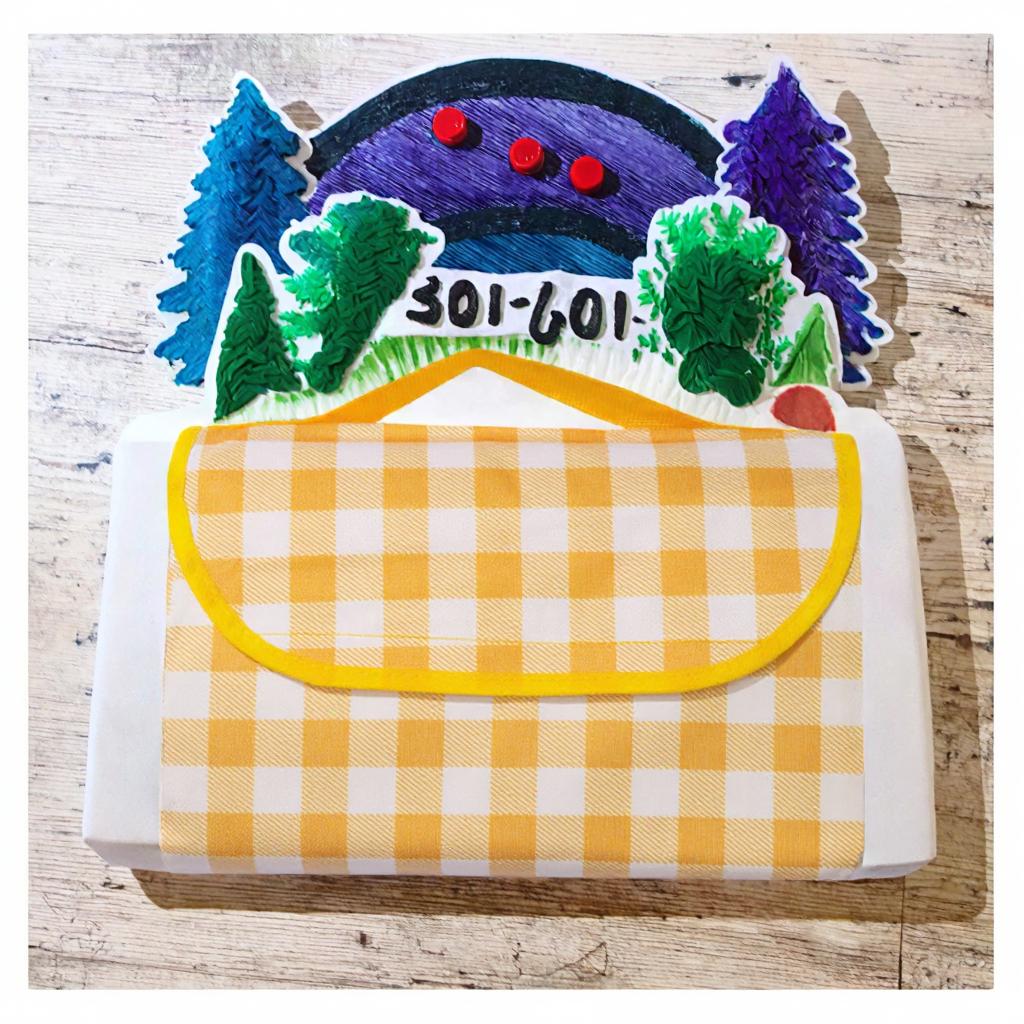 PE Picnic Mat Blanket 200cm*200cm Dampproof Open Foaming for Picnic Barbecue Camping