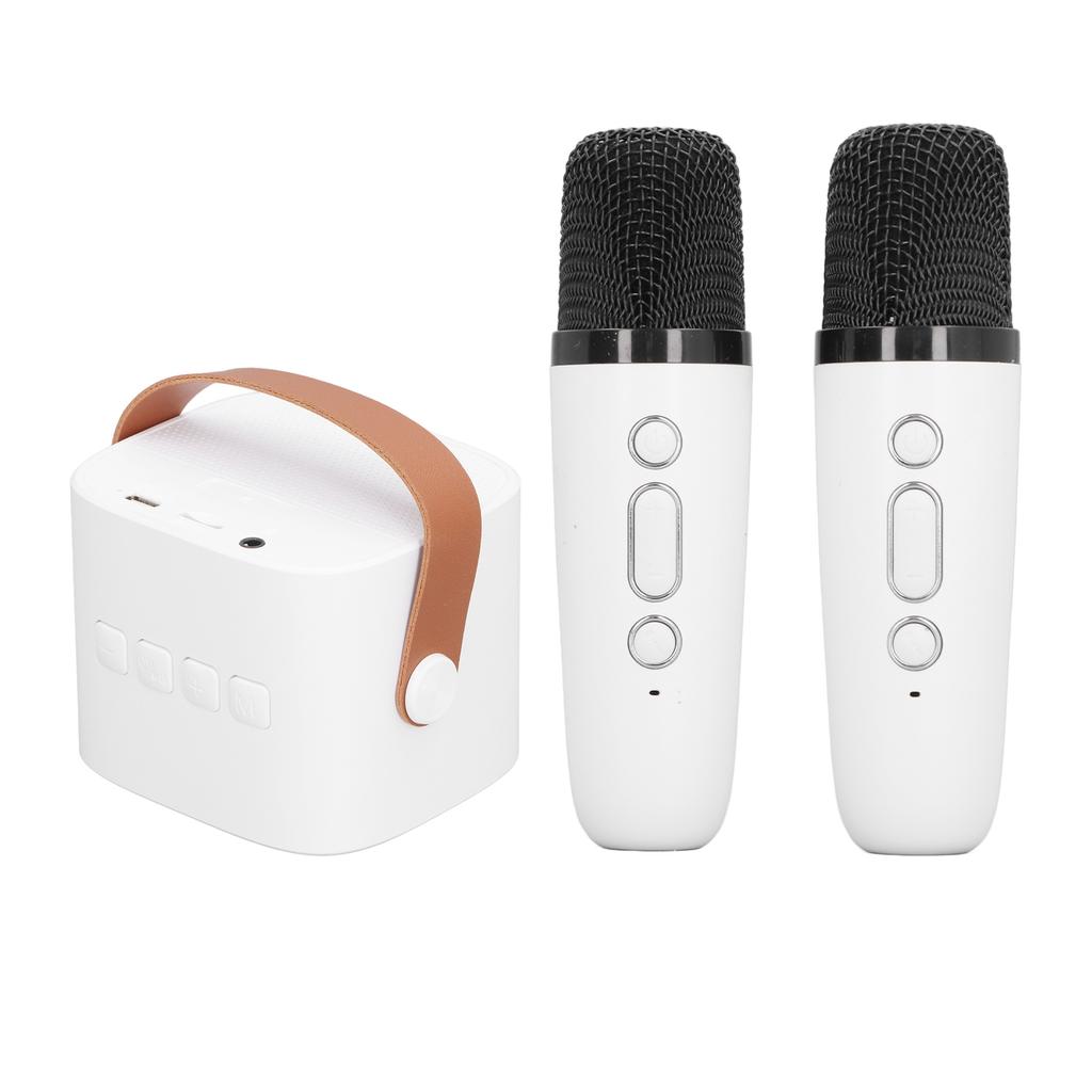 Детская караоке-машина Портативная Универсальная Долговечная Двойной микрофон Bluetooth-динамик для вечеринки