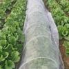 Anti-mosquito Flies Window Screen Encrypted Thick Nylon Invisible Dustproof Insect Prevent Window Mesh Curtain Home Accessories