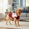 Classical Dog Warm Sweater College Style Dog Pullover Casual Pet Knitted Vest  Daily Wear