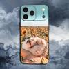 Cute Hedgehog  For iPhone 13,16,11,14,17,12,15,Plus,Pro Max,XS,X,XR,SE,Mini,8,7,Phone Case Soft Silicone Black