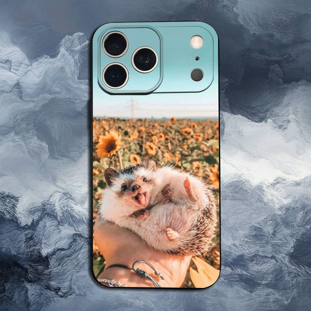 Cute Hedgehog For iPhone 13,16,11,14,17,12,15,Plus,Pro Max,XS,X,XR,SE,Mini,8,7,Phone Case Soft Silicone Black