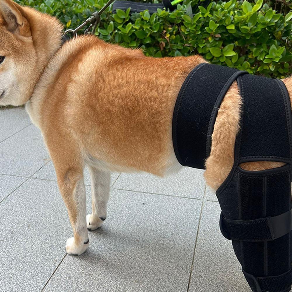 Flexible Dog Knee Brace Breathable Pet Recovery Bandage Soft Dog Leg Protector Joint Protection