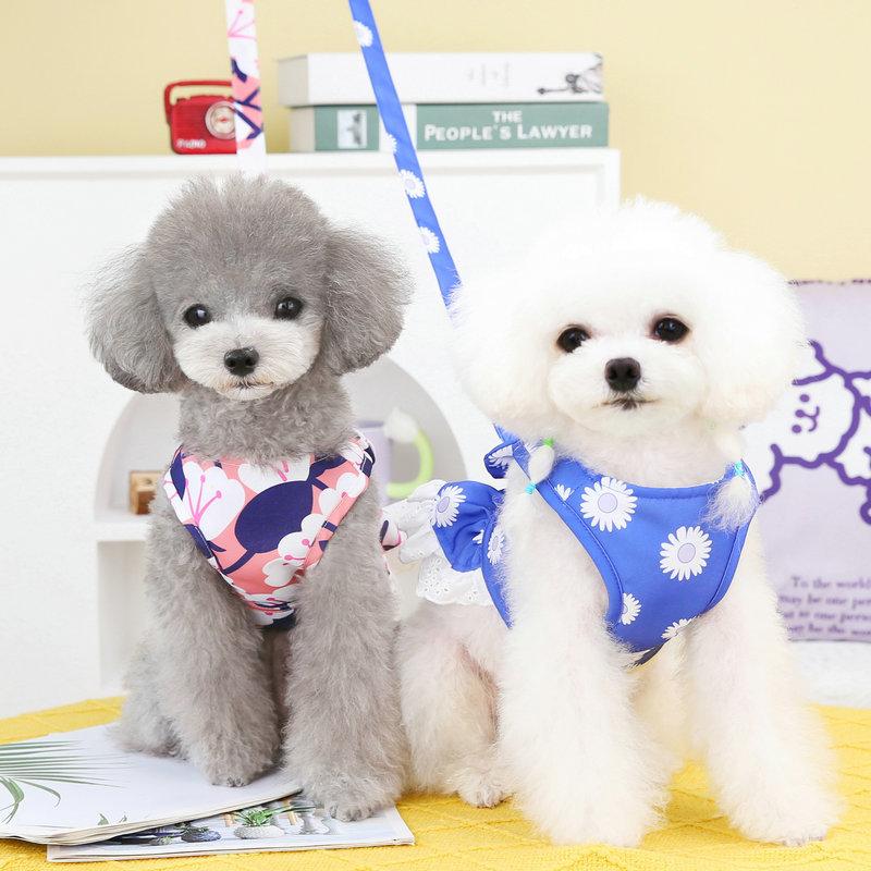 Dog clothes 2023new arrival spring and summer clothes can be hung with leash teddy bichon frize milk dog small and medium dog elegant traction skirt