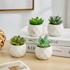 Современный стиль суккулентное растение в горшке Искусственные растения для дома В помещении Балкон Пластиковое растение в горшке Милый бонсай Домашний декор Подарки