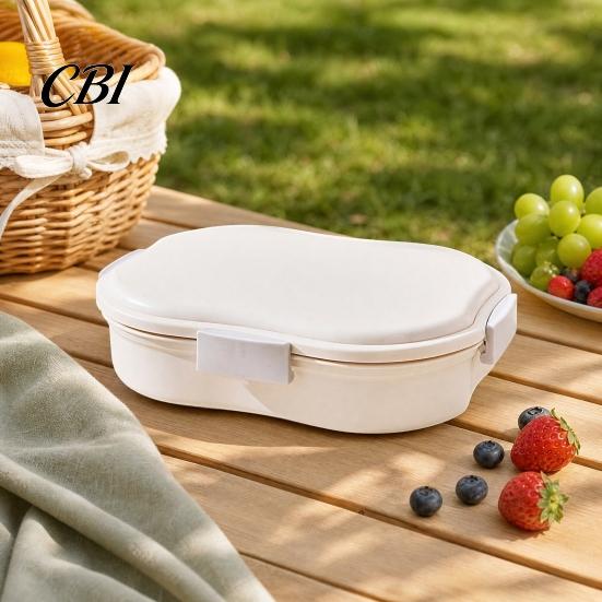 Portable Lunch Box Snack Container, with Separate Compartments Design, Food-Grade PP Box, Built-In Ice Compartment Layer Keeps Food Fresh Fruits