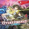 The Hero Is Overpowered But Overly Cautious Vol. 4 Light Novel By... 9781975356941