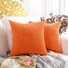 Nordic Solid Color Corduroy Striped Pillow Cover