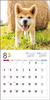 Календарь 2024 Акита-ину (Календарь Seibundo Shinkosha)