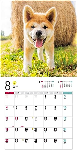 Календарь 2024 Акита-ину (Календарь Seibundo Shinkosha)