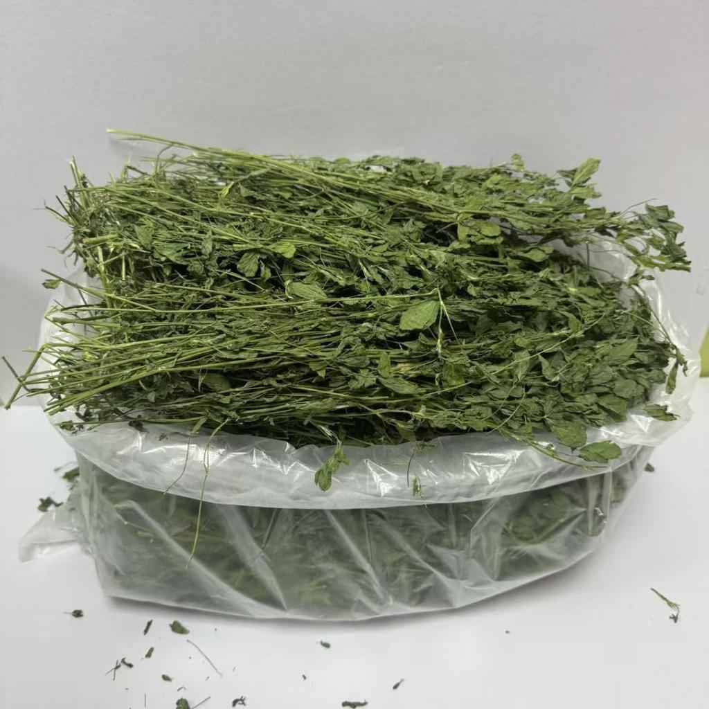 1000g Pack: Alfalfa Hay for Young Rabbits, Chinchillas & Guinea Pigs