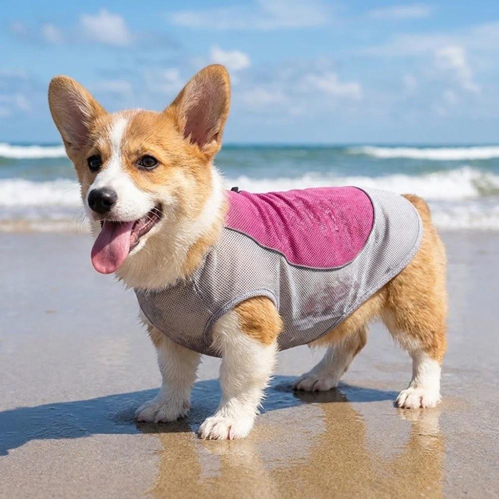 Breathable Mesh Pet Cooling Shirt Sun Protection Dog Ice Cool T-shirt Outdoor Walking Dog