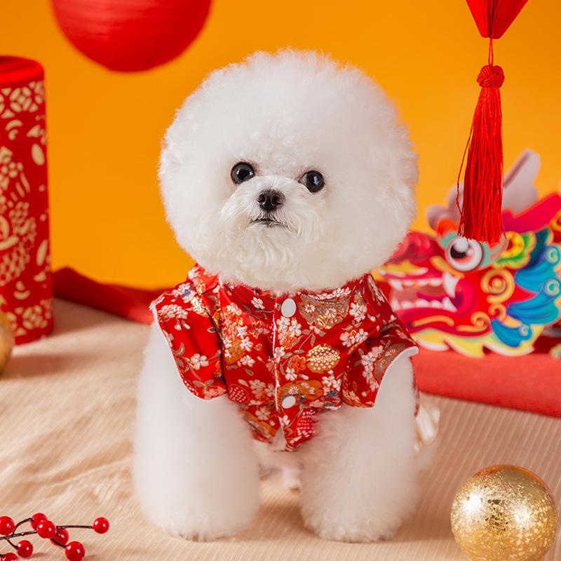 Dog Clothes New Year's Flower Tassel Tang Clothing Autumn and Winter Warm Teddy Bear Skirt New Year's Greeting Two-legged Pet Clothing