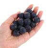 Садовая вечеринка Имитация черники Искусственная черника Имитация фруктов Домашнее украшение Поддельные фрукты