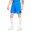 Nike Шорты для тренировок по футболу с технологией Dri-FIT Quick Dry BV6855-463