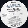 12-дюймовая пластинка YOUNGBLOODZ Cadillac Pimpin ARDP5176 Arista 2002 US Rap HipHopRB Б/у