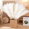 Fluffy Grass Boho Decor 20PC 55CM Flower Fake Plant Reed for Wedding Party Autumn Xmas Home Decoration Artificial Flowers
