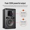SHILE Conference Room Audio System with Wireless Microphones CN plug (adapter included)